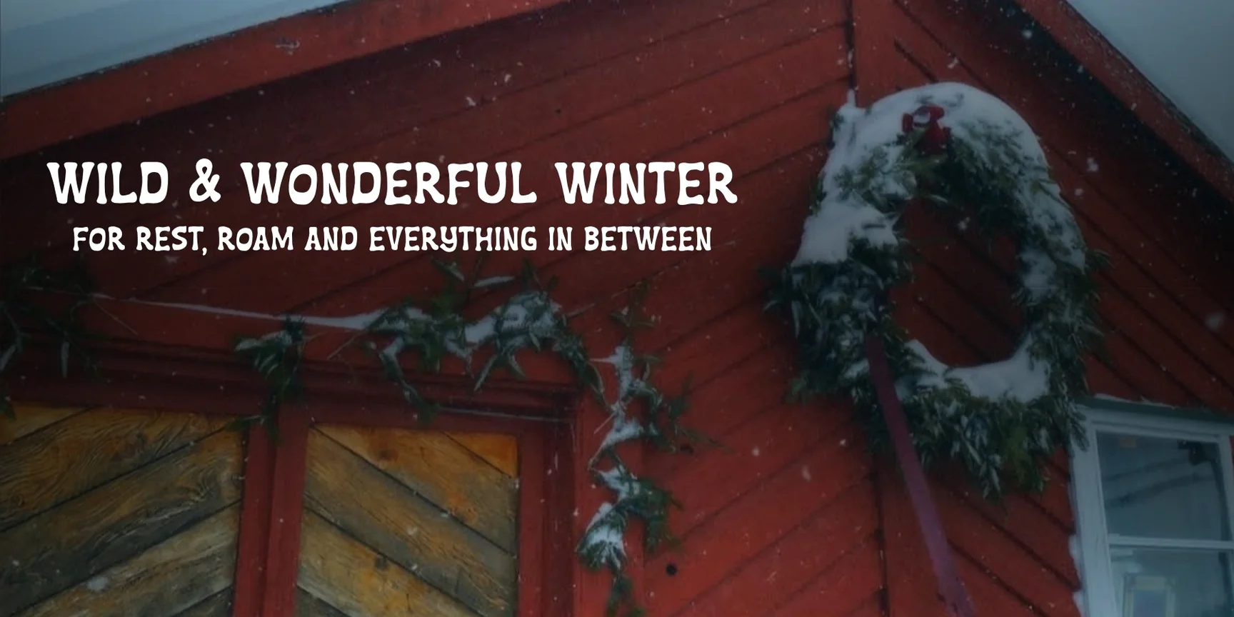 Wear Your Wild and Wonderful